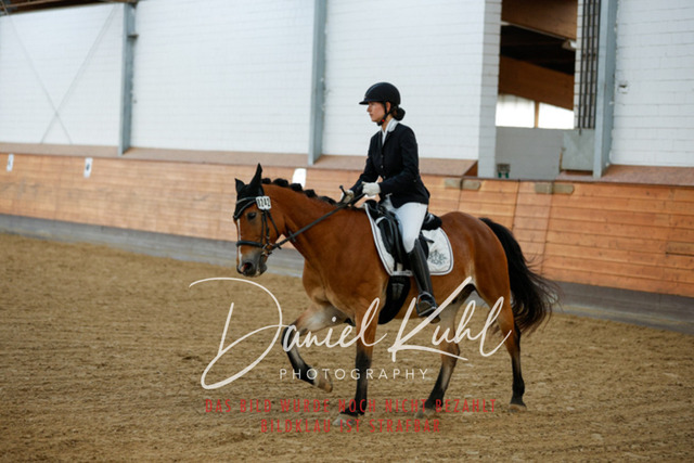 _62_6594 | Turniersportfotografie; Pferdefotografie; Dressurfotografie