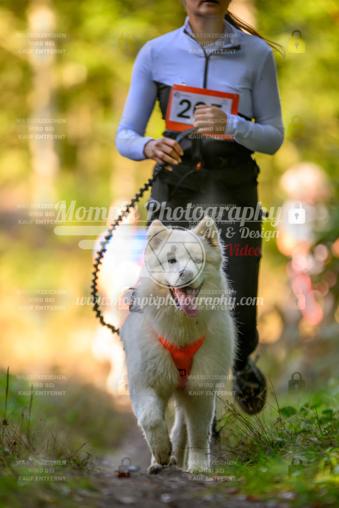 MompixPhotography_Yens2025_B3-150 | PayLife