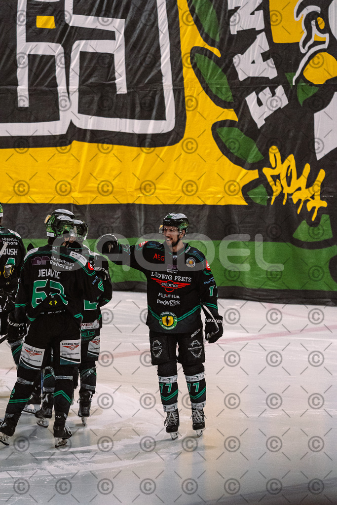 Alligators_vs_Memmingen_09_01_2026-30 | Höchstadt Alligators Fotogalerie: Eishockey-Action aus Franken. Professionelle Spielfotos, Portraits & Stadionbilder zum Download. Jetzt entdecken! - Realisiert mit Pictrs.com