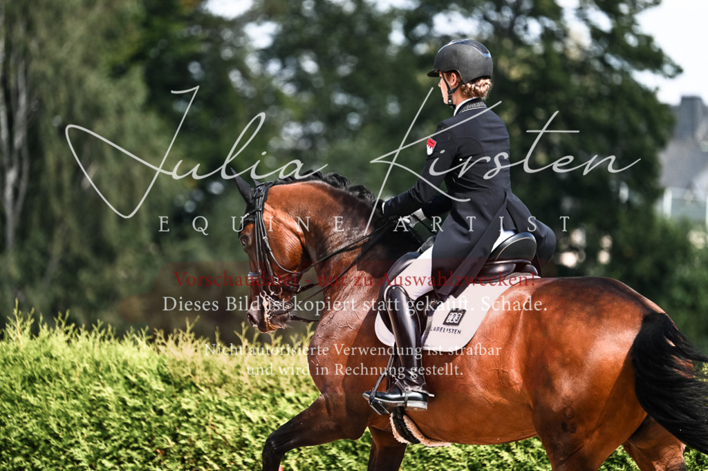 DSC_3043 | Pferde- und Turnierfotografie in Westsachsen. Pferdeportraits, Auftragszeichnungen und intuitive Kunst.