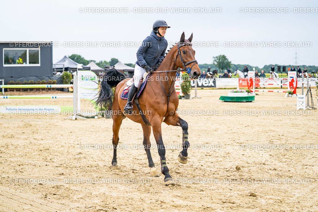 DSC06872 | Pferdegrafie