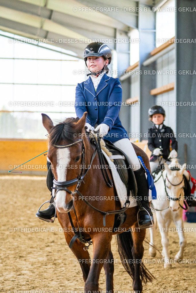 DSC01222 | Pferdegrafie