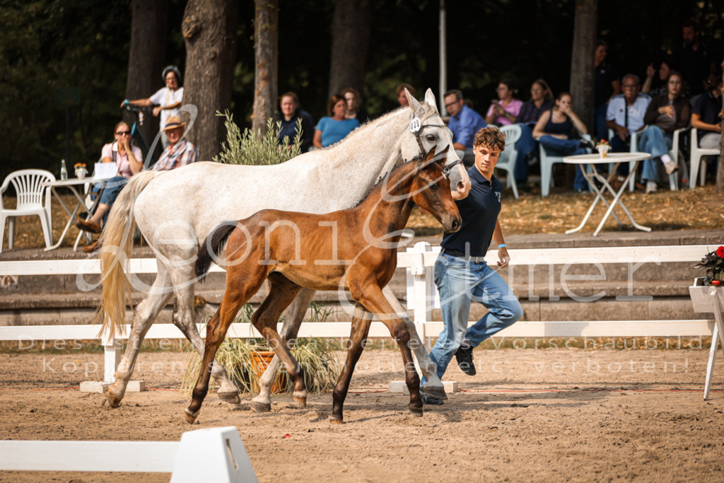 07.DoWBS00091 | Leoni Ertmer Photography - Realisiert mit Pictrs.com