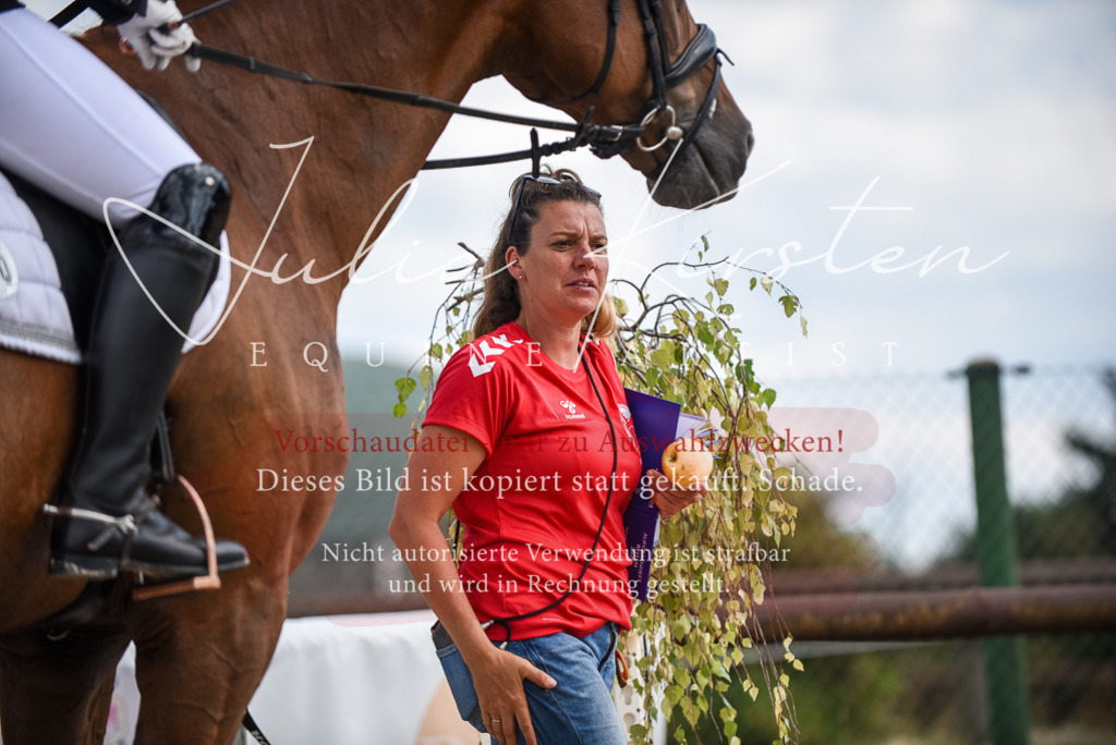 DSC_9146 | Pferde- und Turnierfotografie in Westsachsen. Pferdeportraits, Auftragszeichnungen und intuitive Kunst.