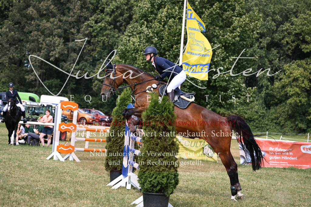 DSC_0799 | Pferde- und Turnierfotografie in Westsachsen. Pferdeportraits, Auftragszeichnungen und intuitive Kunst.