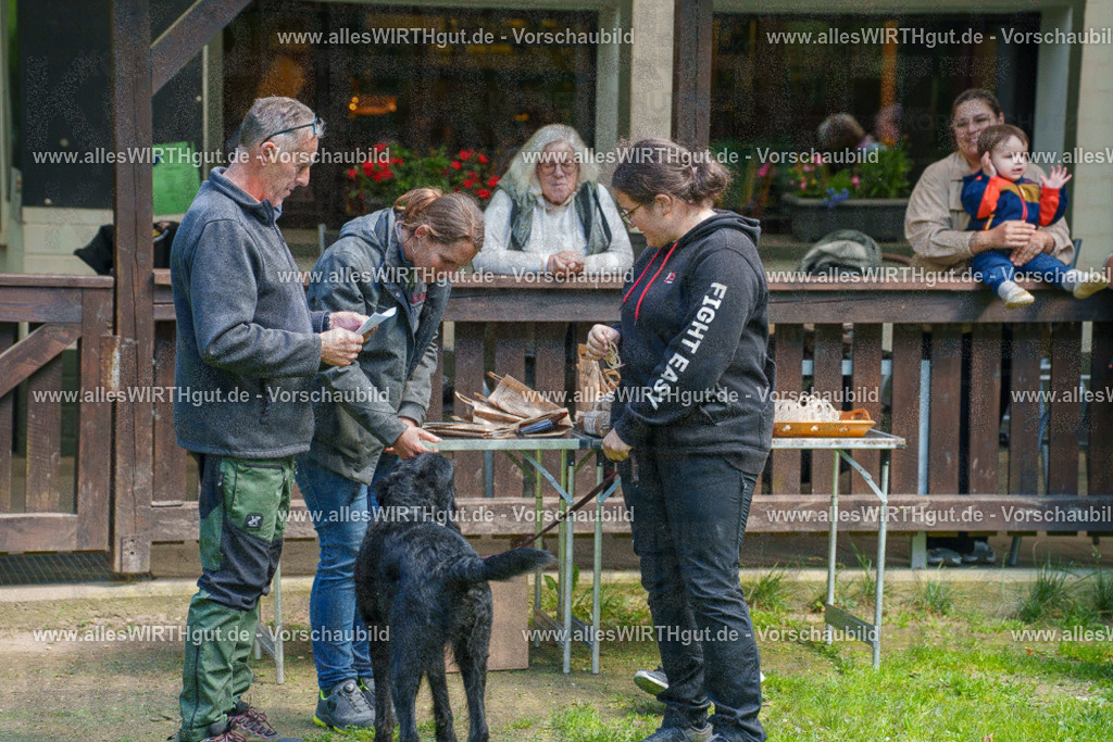 @allesWIRTHgut_Tierfotografie - www.allesWIRTHgut.de - 7R506158 | Professionelle Tierfotografie in Mönchengladbach von Daniel Wirth (allesWIRTHgut). Liebevolle & natürliche Bilder von Hunden & Katzen für unvergessliche Erinnerungen.