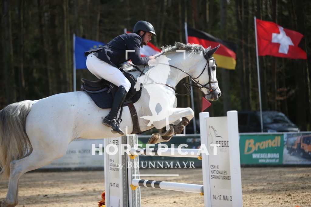 PP015308 | Willkommen bei Brunnmayr - Design & Fotografie – Ihrem Spezialisten für Reitturniere und Pferdeveranstaltungen in Oberösterreich, Salzburg und Bayern! Seit über 17 Jahren sind wir leidenschaftlich dabei.