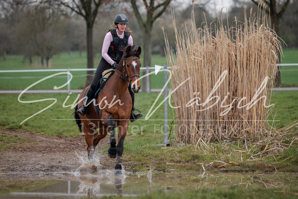 20260329-_3LI3971 | Tierfotografie Pferde, Hunde, Katzen, Haustiere.
Turnierfotografie Reitturniere, Reiten, Springreiten, Dressur in Hanau, dem Main-Kinzig-Kreis und dem Rhein-Main- Gebiet um Frankfurt