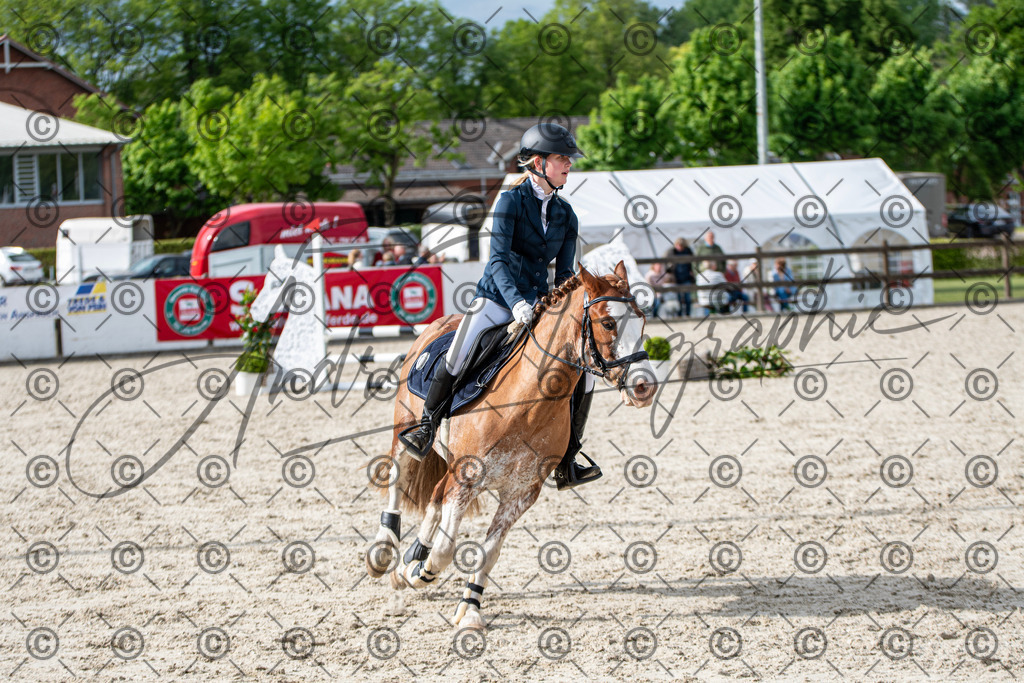 KPT_6757 | andre_photographic