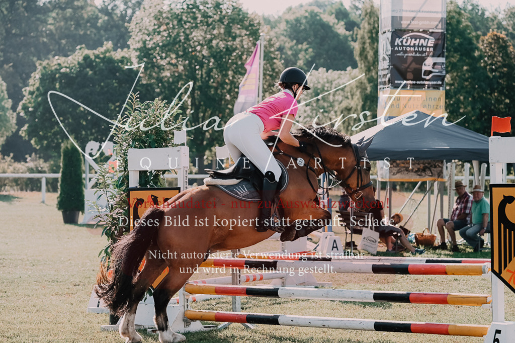 DSC_4580 | Pferde- und Turnierfotografie in Westsachsen. Pferdeportraits, Auftragszeichnungen und intuitive Kunst.