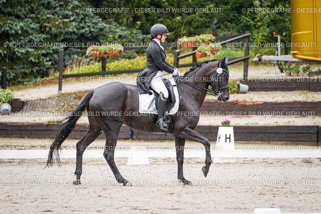 DSC08423 | Pferdegrafie