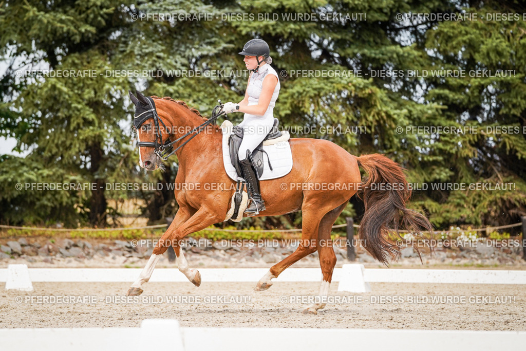 DSC07315 | Pferdegrafie