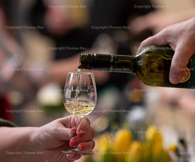 DSC_7518 | Der Bergsträßer Weintreff ist traditionell die Auftaktveranstaltung für den Bergsträßer Weinfrühling. Alljährlich April  bietet der Weintreff im Bürgerhaus Bensheim die einmalige Gelegenheit, fast 170 Bergsträßer Weine, Seccos und Sekte von 19 Weinbaubetrieben an einem Ort zu probieren. Nahezu alle Bergsträßer Betriebe sind vertreten und bieten ihre Spezialitäten an. Bild: Thomas Neu