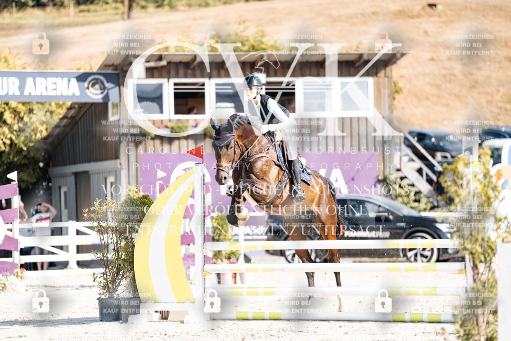 CK909255 | Turnierfotografie Pferdefotografie Trier Rheinland-Pfalz Pferdesport Reitsport Tierfotografie Sportfotografie Pferdevideo Pferdevideografie Equestrianvideography equestrianphotography  - Realisiert mit Pictrs.com