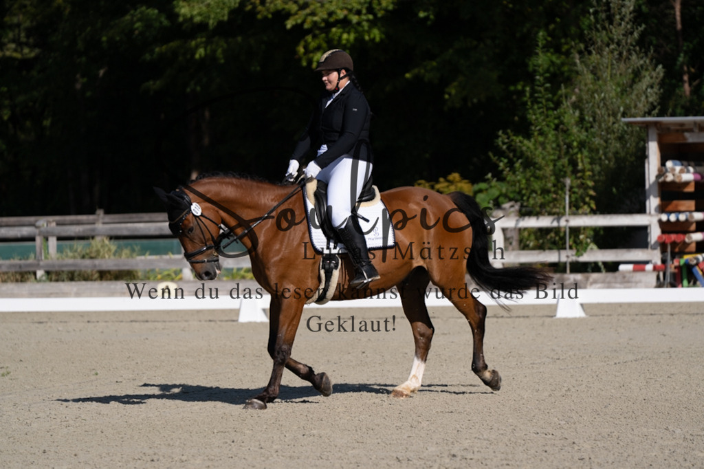 A7V06902 | Turnier/Reitfotograf