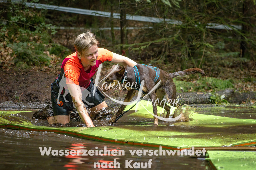 1539_ZZ91667-Bearbeitet | kk-dogfotos