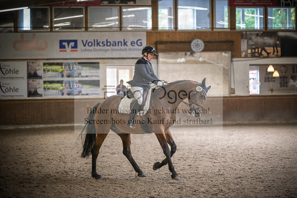 DOS_0935 | Entdecke hochwertige Reitturnierfotos von Foto Oger. Professionell, emotional und authentisch – jetzt Lieblingsmomente im Shop bestellen.Deutschlandweite Turnierfotografie. - Realisiert mit Pictrs.com