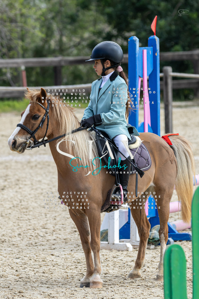 IMG_4681 | s-jay-photography - Realisiert mit Pictrs.com