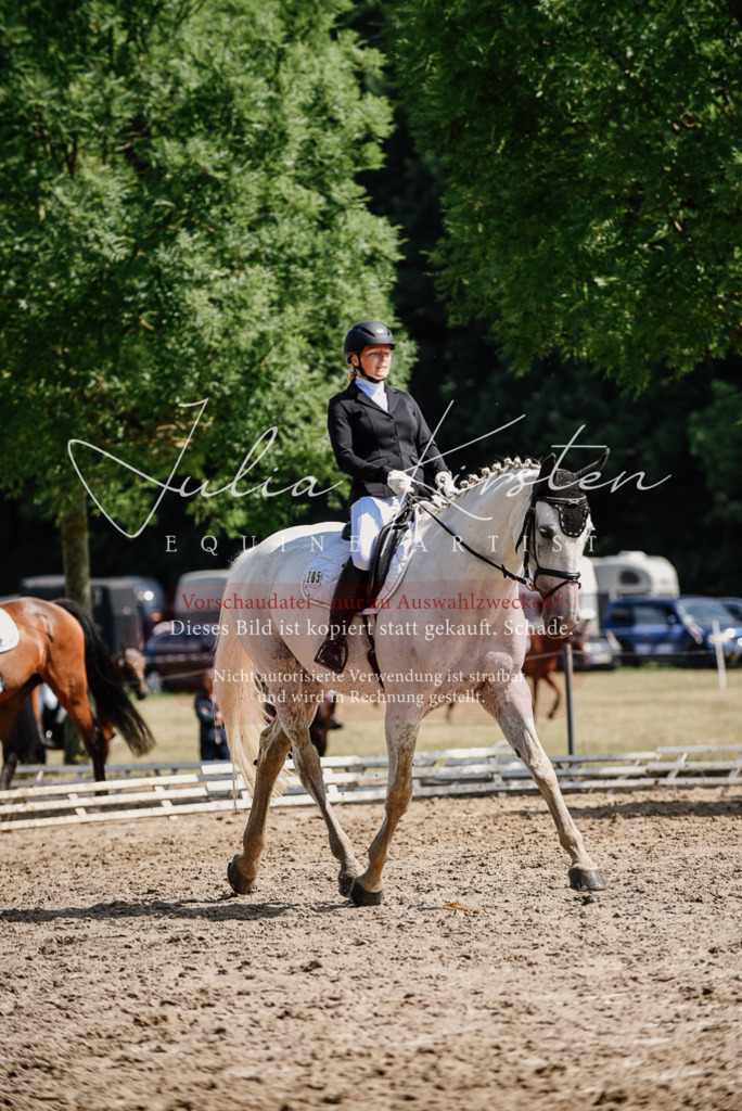 DSC_0412 | Pferde- und Turnierfotografie in Westsachsen. Pferdeportraits, Auftragszeichnungen und intuitive Kunst.