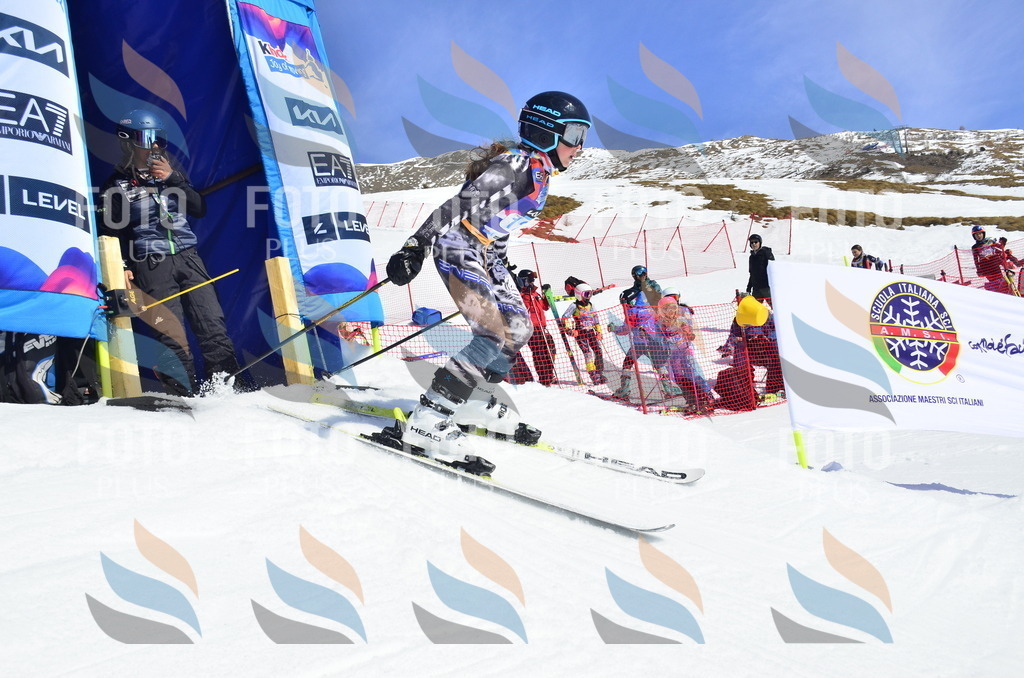 _ELE0796 | holidayphoto