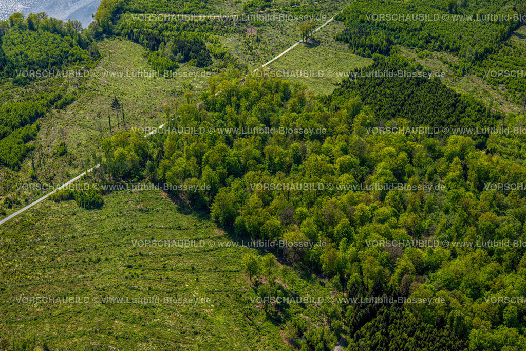 Moehnesee240506107Friedwald | Luftbild Blossey Luftbilder NRW Deutschland