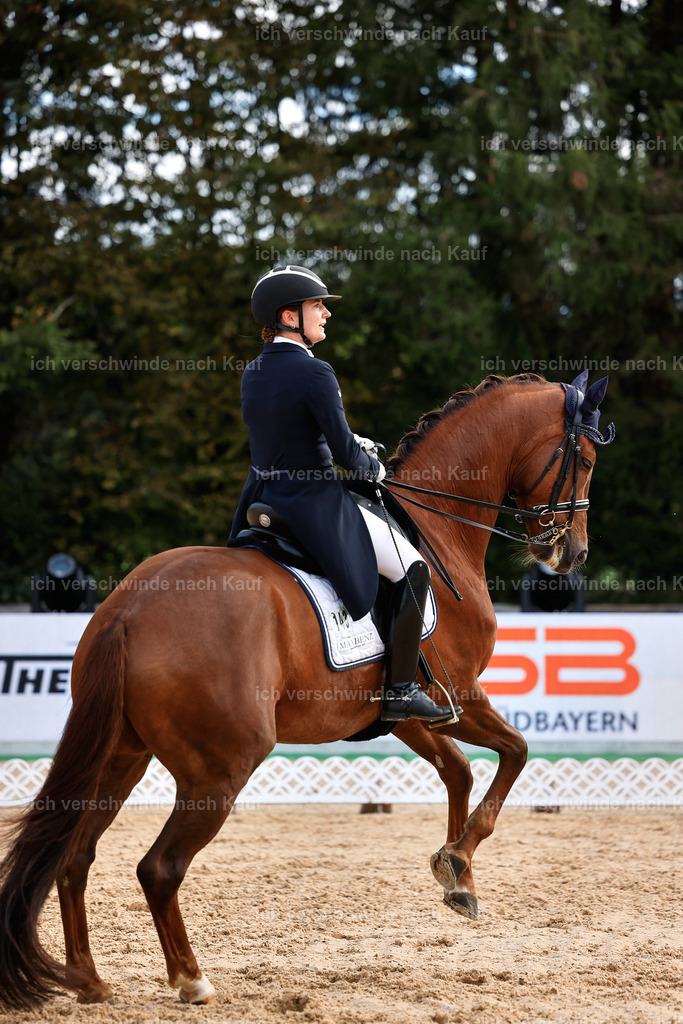 6-143-AMATUER-DRESSUR S_  -StoibPH-3435 | working equitationturnier fotograf videograf stoibphotography marixx film working equitation deutschland reitsport turnierfotografie eventfotografie equestrian events
