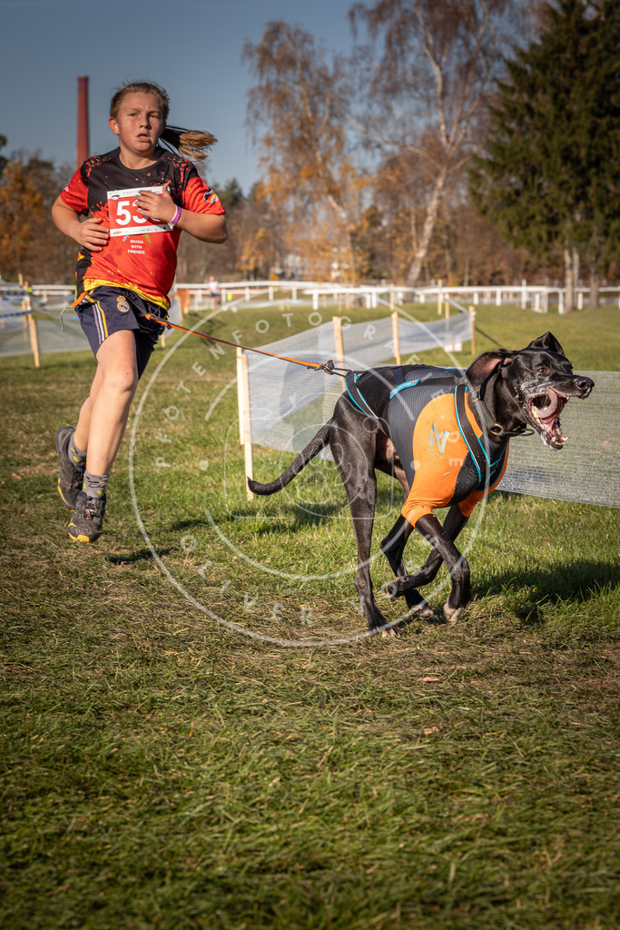 CaniXpix_0L8A7545 | Hundefotografie, Tierfotograf, Pfotenfotografie, Fotoshooting Hund, Hunde Portrait, Hundesport, Hundeportraits, Heideshooting, Hunde, Sportfotograf, Hundefotograf, Turnierhundsport, THS,  - Realisiert mit Pictrs.com
