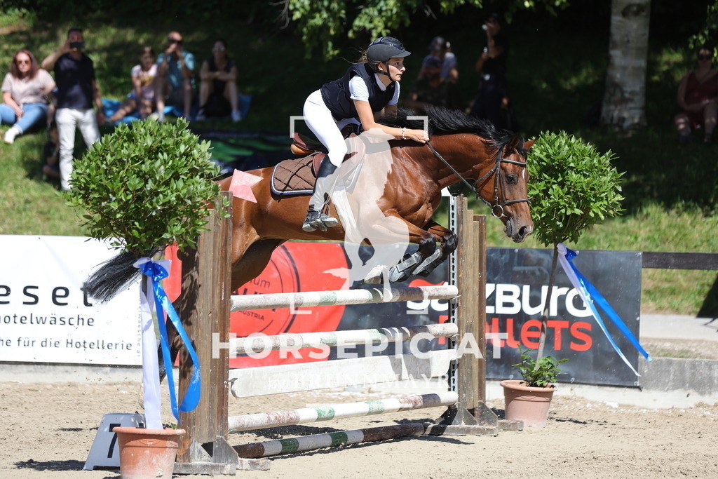 0P6A6350 | Willkommen bei Brunnmayr - Design & Fotografie – Ihrem Spezialisten für Reitturniere und Pferdeveranstaltungen in Oberösterreich, Salzburg und Bayern! Seit über 17 Jahren sind wir leidenschaftlich dabei.