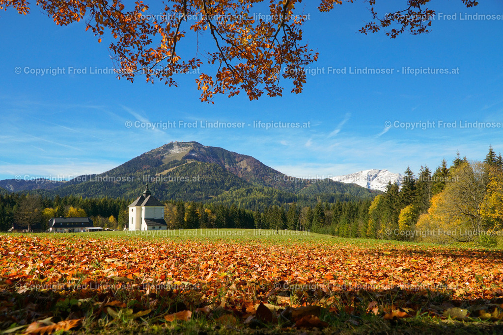 DSC02106_ | Fotos und Fotoprodukte - Realisiert mit Pictrs.com