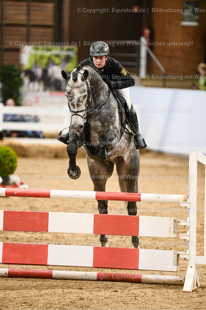 20260307_Hengstvorstellung-Marbach_0108 | equistock
