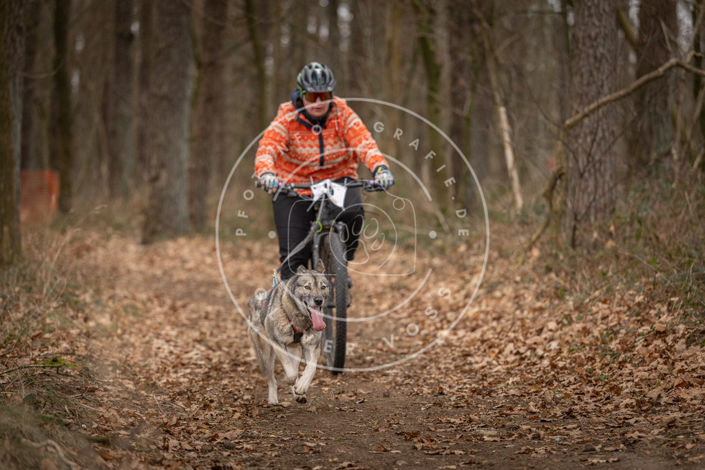 Pfotenfotografie_DV3A7134 | Hundefotografie, Tierfotograf, Pfotenfotografie, Fotoshooting Hund, Hunde Portrait, Hundesport, Hundeportraits, Heideshooting, Hunde, Sportfotograf, Hundefotograf, Turnierhundsport, THS,  - Realisiert mit Pictrs.com