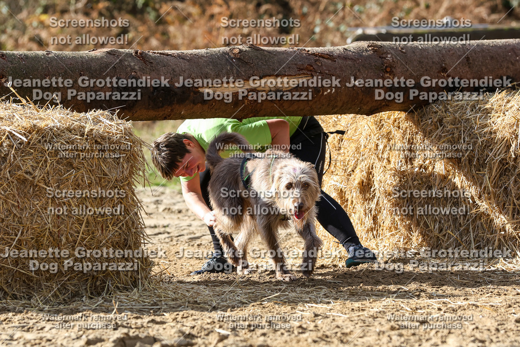 Dog Paparazzi - Strongdog 10-25-5517 | Dog Paparazzi Jeanette Grottendiek Fotografie & Videografie - Realisiert mit Pictrs.com