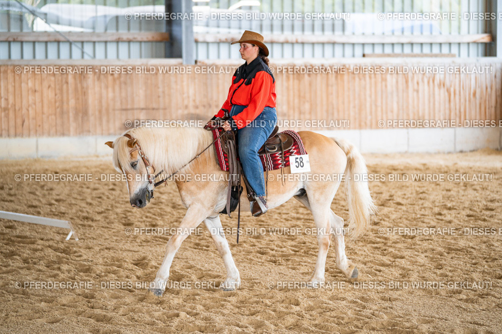 DSC02778 | Pferdegrafie