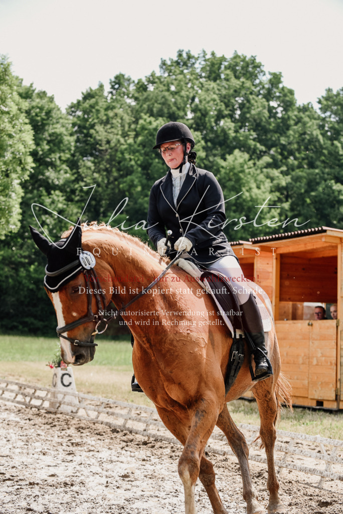 DSC_0666 | Pferde- und Turnierfotografie in Westsachsen. Pferdeportraits, Auftragszeichnungen und intuitive Kunst.