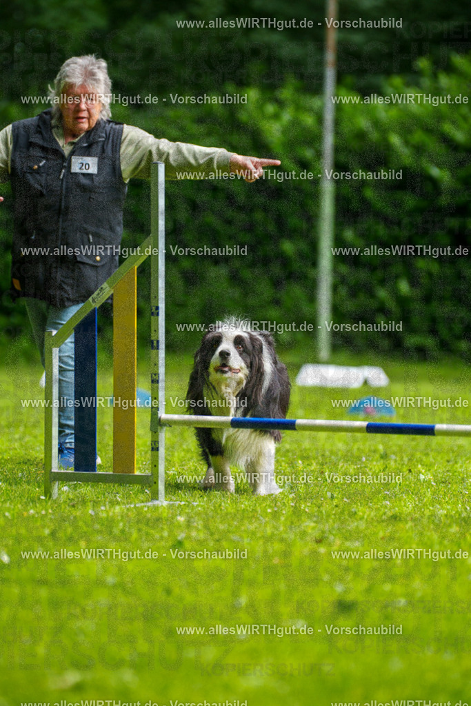 @allesWIRTHgut_Tierfotografie - www.allesWIRTHgut.de - 093643-7R507371 | Professionelle Tierfotografie in Mönchengladbach von Daniel Wirth (allesWIRTHgut). Liebevolle & natürliche Bilder von Hunden & Katzen für unvergessliche Erinnerungen.