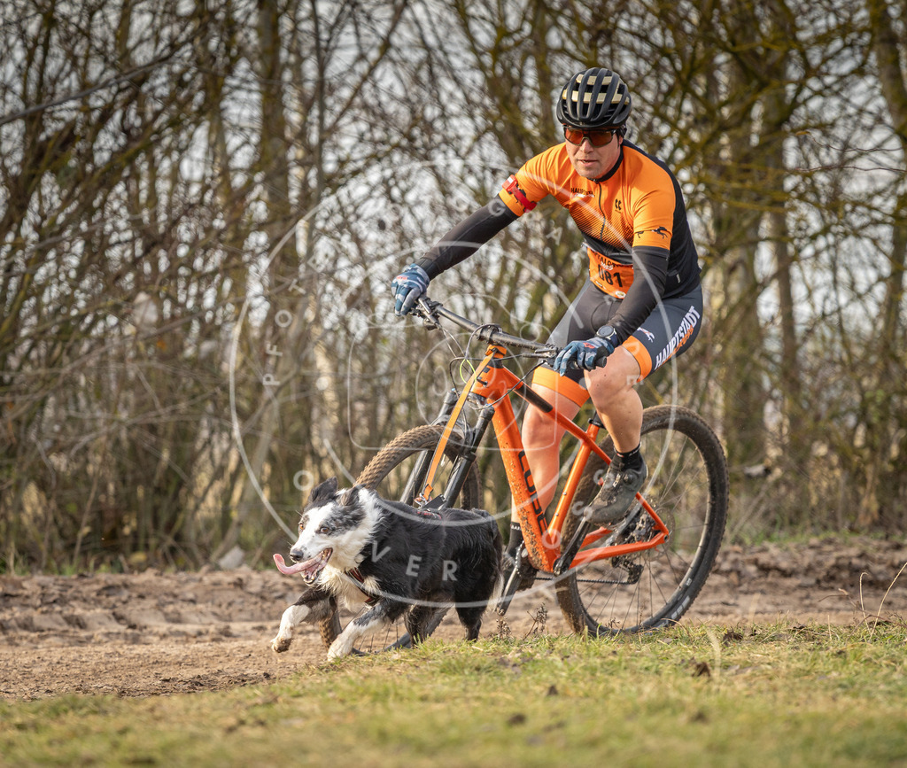 Pfotenfotografie_DV3A8267 | Hundefotografie, Tierfotograf, Pfotenfotografie, Fotoshooting Hund, Hunde Portrait, Hundesport, Hundeportraits, Heideshooting, Hunde, Sportfotograf, Hundefotograf, Turnierhundsport, THS,  - Realisiert mit Pictrs.com