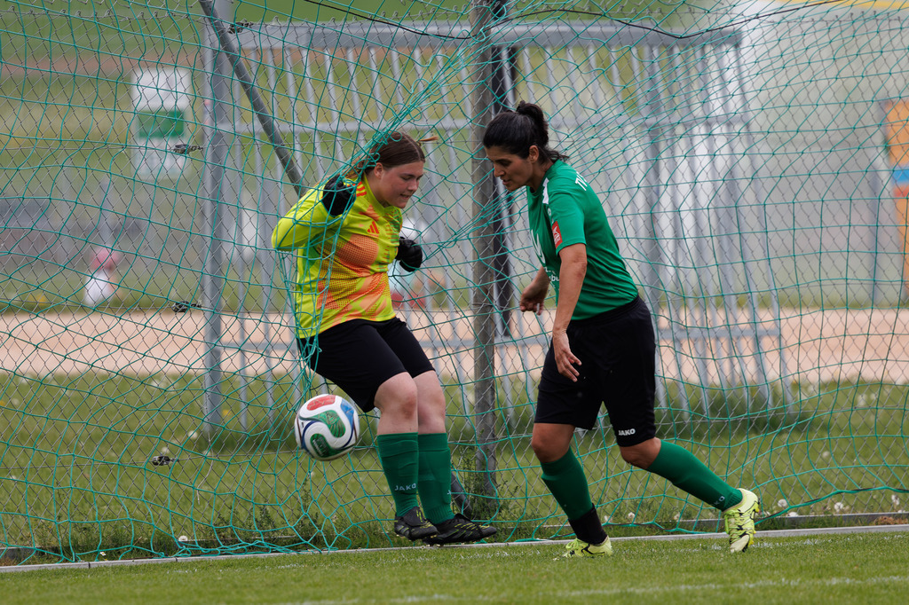 20260503-Steinheim-FCH_038 | Fotopresso – Sportfotografie in Heidenheim & Umgebung. Professionelle Sportfotografie für unvergessliche Momente. Dynamische Action-Shots, emotionale Szenen & hochwertige Bilder. - Realisiert mit Pictrs.com