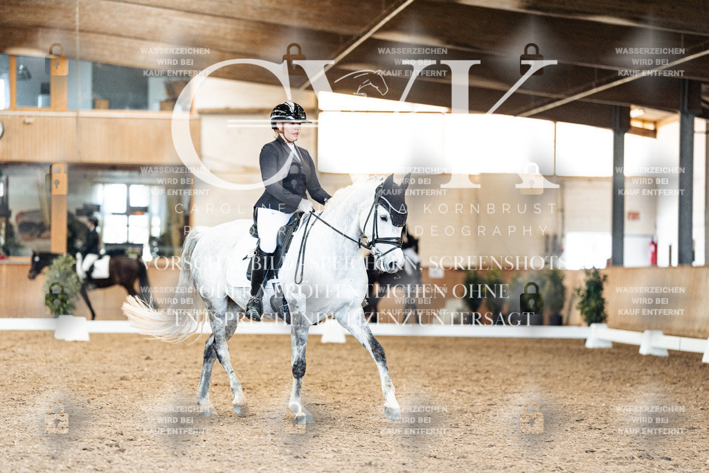 CK909638 | Turnierfotografie Pferdefotografie Trier Rheinland-Pfalz Pferdesport Reitsport Tierfotografie Sportfotografie Pferdevideo Pferdevideografie Equestrianvideography equestrianphotography  - Realisiert mit Pictrs.com