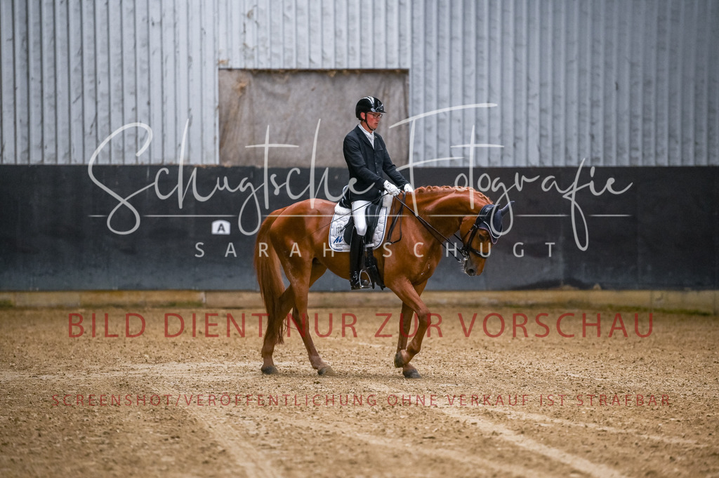 Schugtsche-Aluta25-56.Dressurprf.L1Kand.-8 | Schugtsche Fotografie - Realisiert mit Pictrs.com