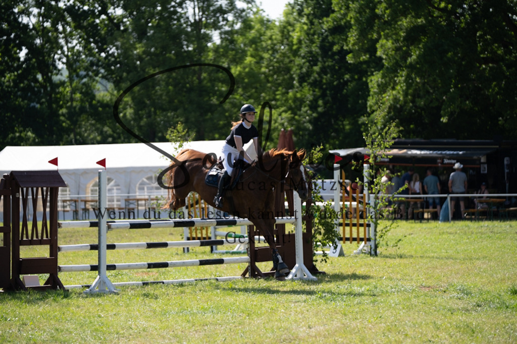 A7V06562 | Pferdefotograf