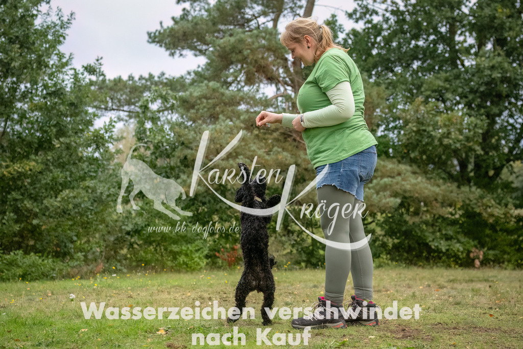 1703_ZZ90919-3-Bearbeitet | kk-dogfotos
