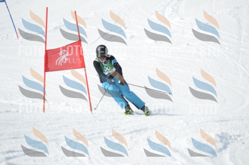 D8996 | holidayphoto