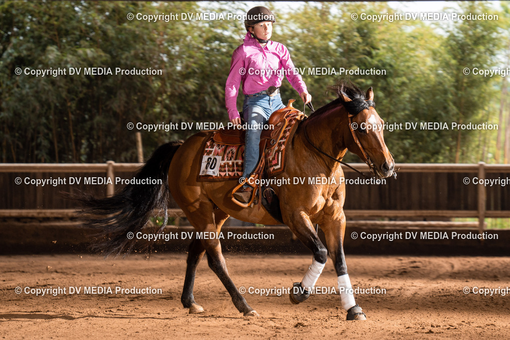 Erbach Tag 2-852 | dv-media-shop - Realisiert mit Pictrs.com