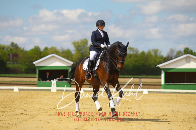 DKP43088 | Turniersportfotografie; Pferdefotografie; Dressurfotografie