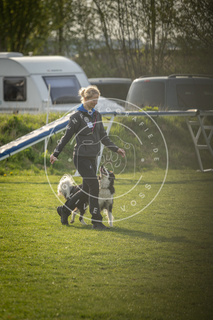 Pfotenfotografie_DV3A4747 | Hundefotografie, Tierfotograf, Pfotenfotografie, Fotoshooting Hund, Hunde Portrait, Hundesport, Hundeportraits, Heideshooting, Hunde, Sportfotograf, Hundefotograf, Turnierhundsport, THS,  - Realisiert mit Pictrs.com