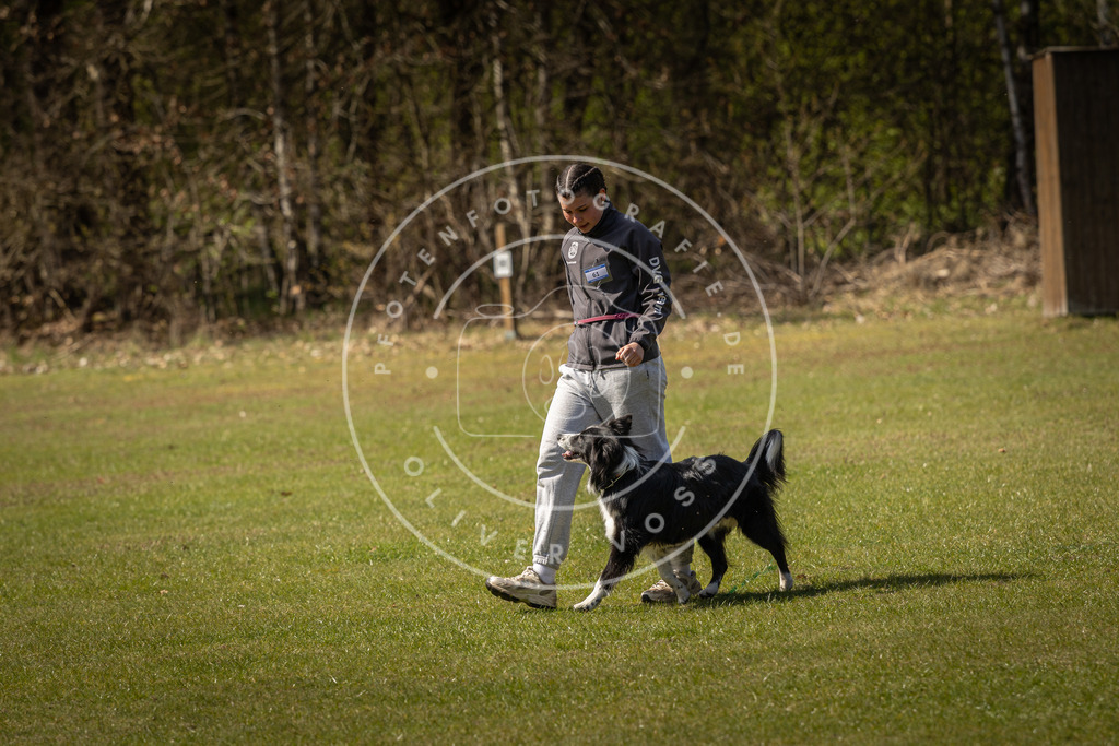 Pfotenfotografie_DV3A1163 | Hundefotografie, Tierfotograf, Pfotenfotografie, Fotoshooting Hund, Hunde Portrait, Hundesport, Hundeportraits, Heideshooting, Hunde, Sportfotograf, Hundefotograf, Turnierhundsport, THS,  - Realisiert mit Pictrs.com