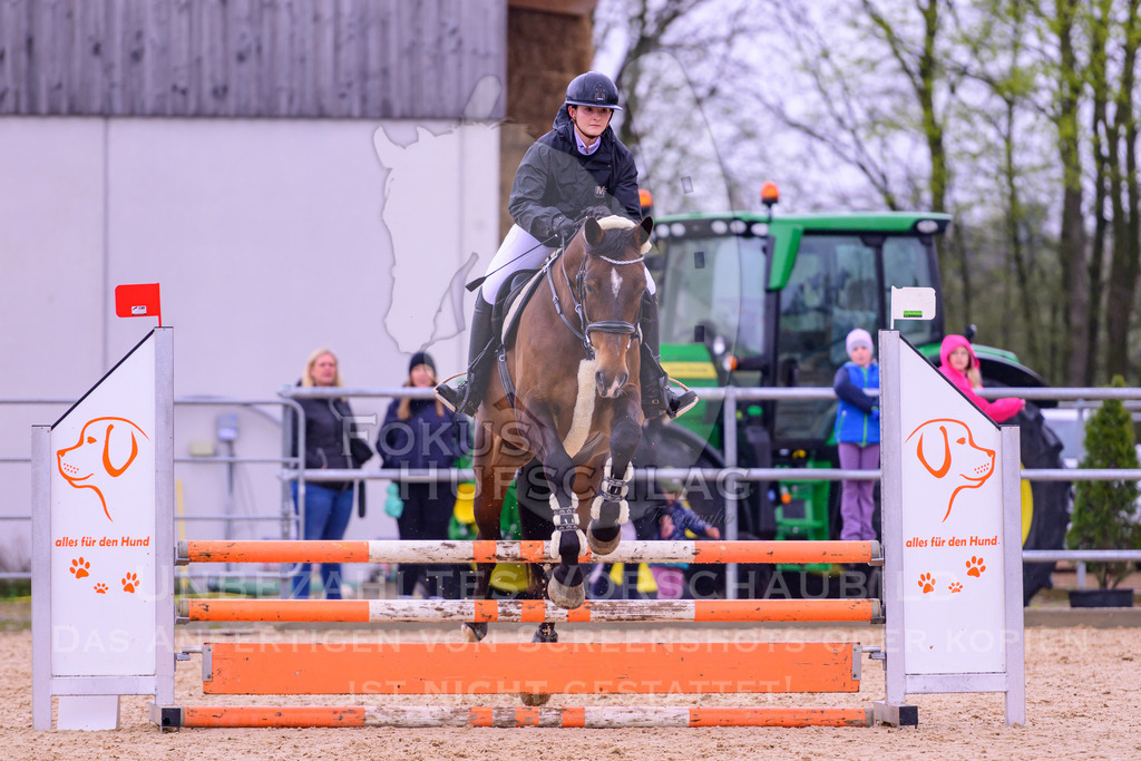 12042026-Mammendorf-Prfg38-0644 | Fokus Hufschlag Fotografie - Realisiert mit Pictrs.com