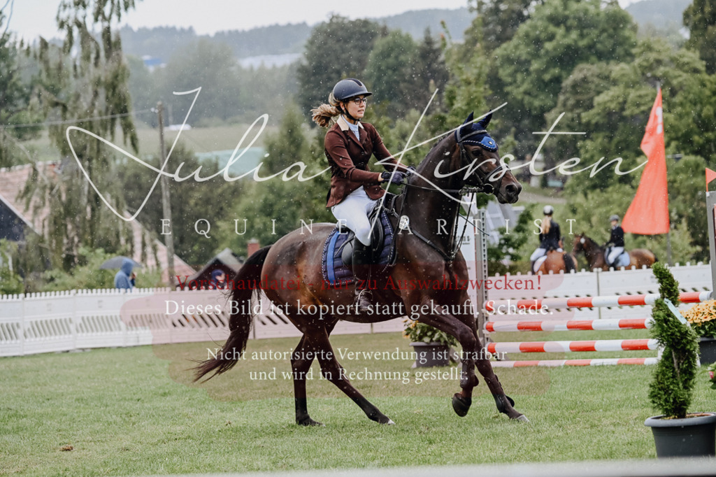 DSC_6930 | Pferde- und Turnierfotografie in Westsachsen. Pferdeportraits, Auftragszeichnungen und intuitive Kunst.
