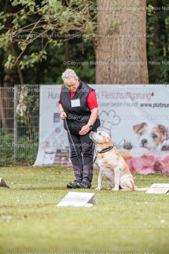RO-Blumenthal-2026-Nickbest-Hundefotografie-0720 | Dein Hund! Dein Moment! Deine Erinnerungen! Hundefotografie in Bremen Blumenthal. Ich fange die besonderen Momente deines Vierbeiners ein – ob Indoor mit Blitzanlage oder in der freien Natur. Sicher dir dein Moment und dein Termin für eure Erinnerungen.