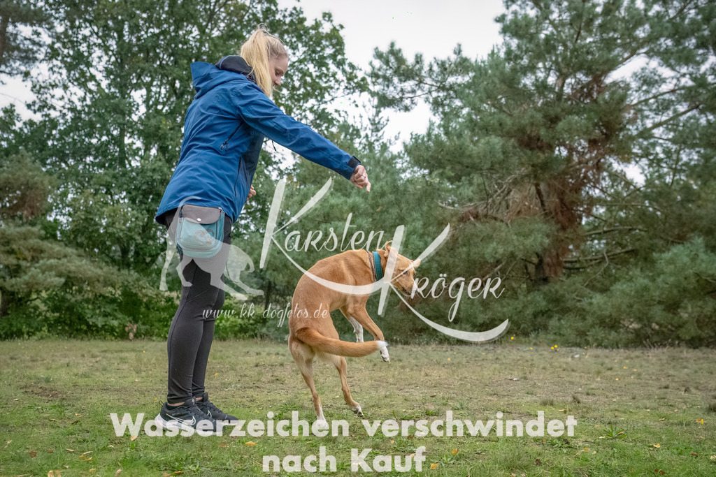 1517_ZZ94759-2-Bearbeitet | kk-dogfotos